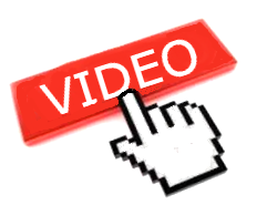 video torsus