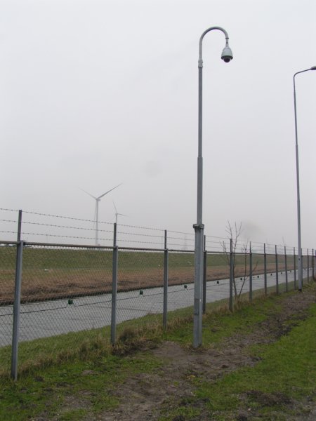 54.jpg